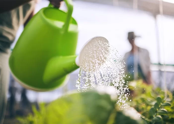 therese formation biodynamie